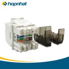 Nhân mạng Cat6 LS