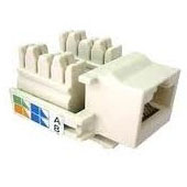 Nhân điện thoại RJ11, Nhân Wall plate Điện Thoại