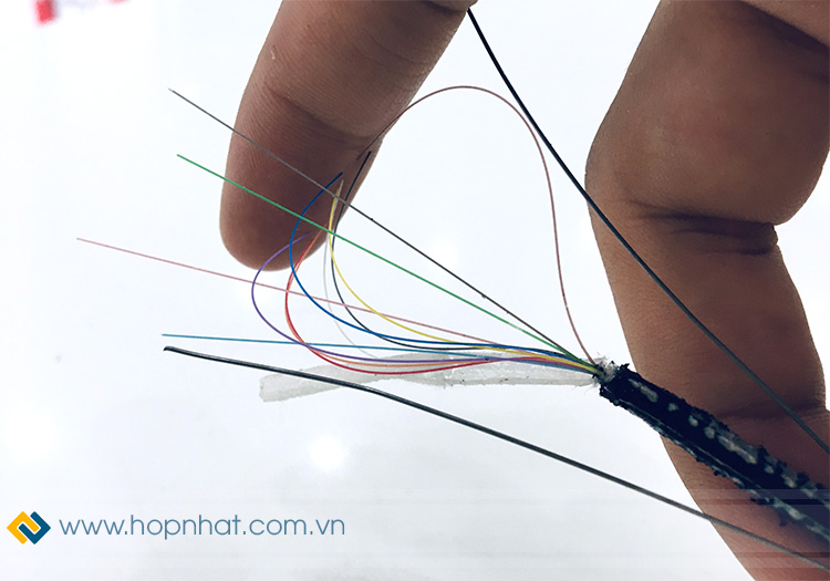 Cáp quang 12FO Multimode OM2