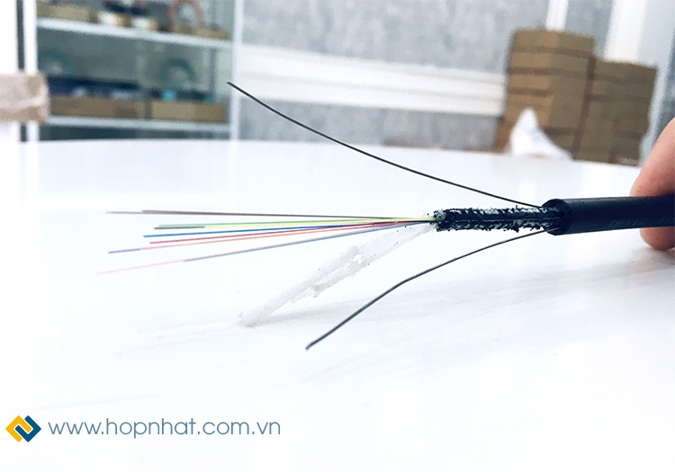 Cáp quang Multimode 12FO OM2