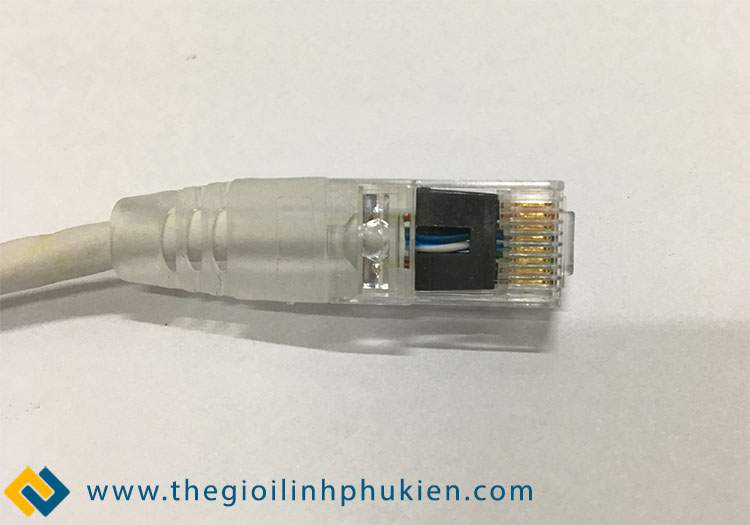 Mặt dưới đầu chụp LS CAT5