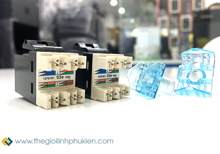 nhân mạng amp Cat5e