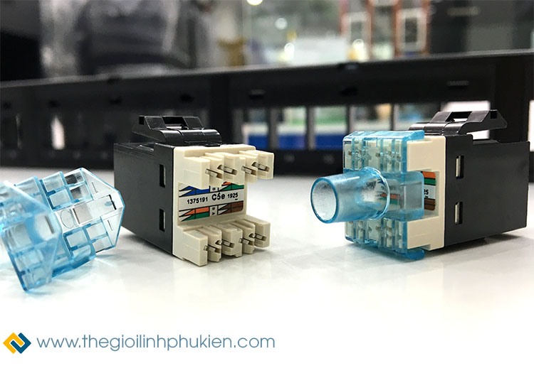 Nhân mạng AMP Cat5e