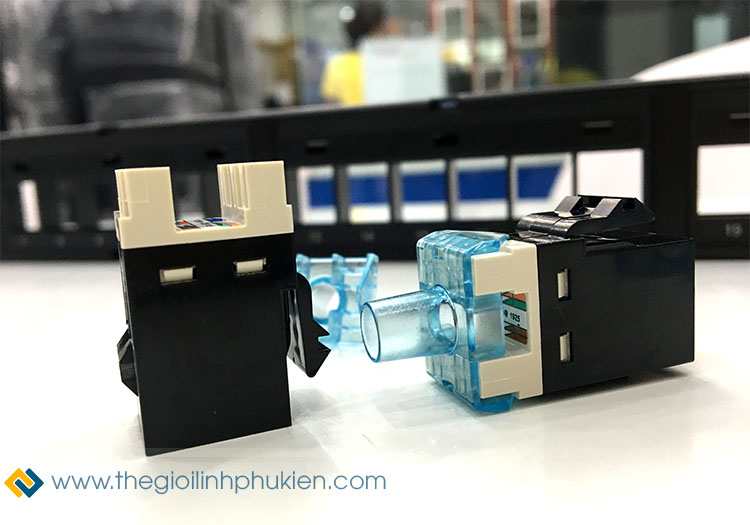 Nhân mạng AMP Cat5e