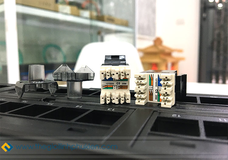 Nhân mạng AMP Cat6