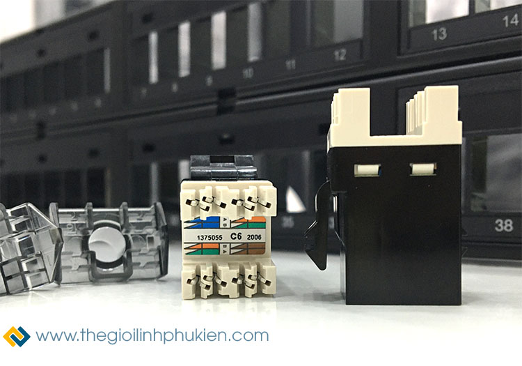 Nhân mạng Cat6 COMMSCOPE